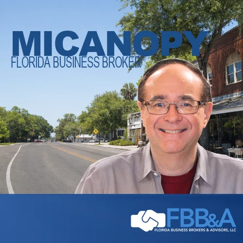 business brokers in micanopy florida